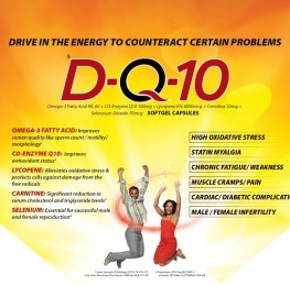 DQ10